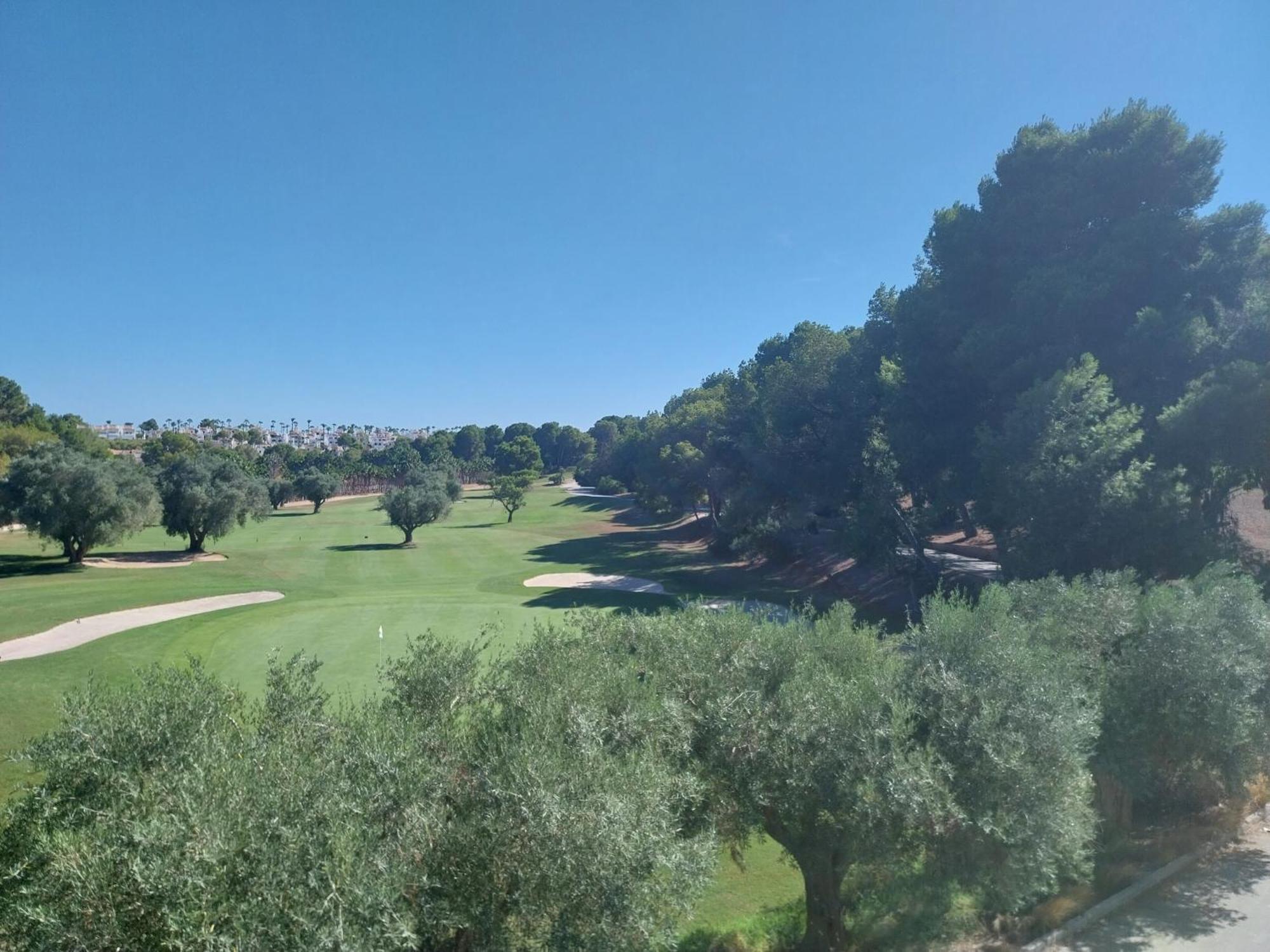 Charming Apartment In Front Of Villamartin Golf And Plaza Buitenkant foto