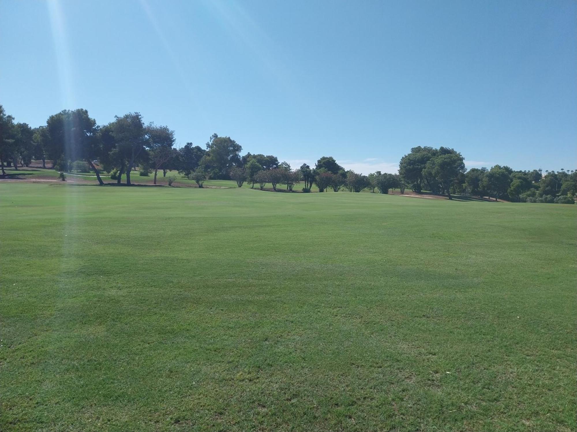 Charming Apartment In Front Of Villamartin Golf And Plaza Buitenkant foto