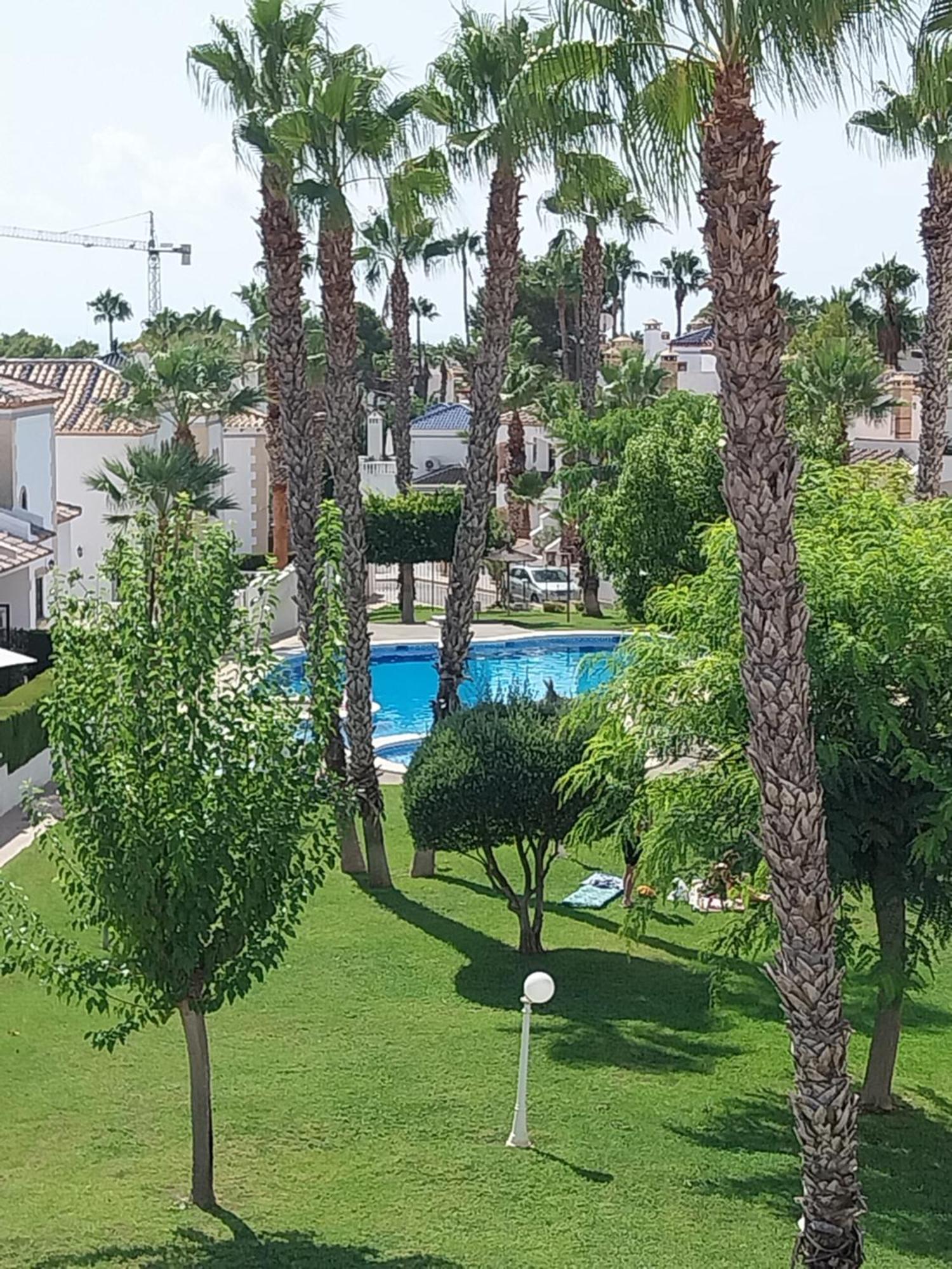 Charming Apartment In Front Of Villamartin Golf And Plaza Buitenkant foto