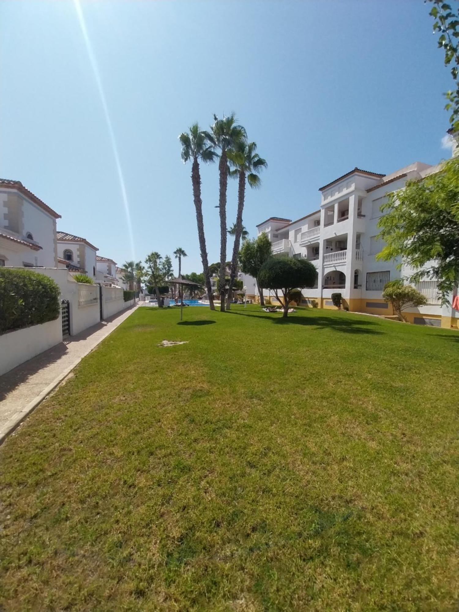 Charming Apartment In Front Of Villamartin Golf And Plaza Buitenkant foto