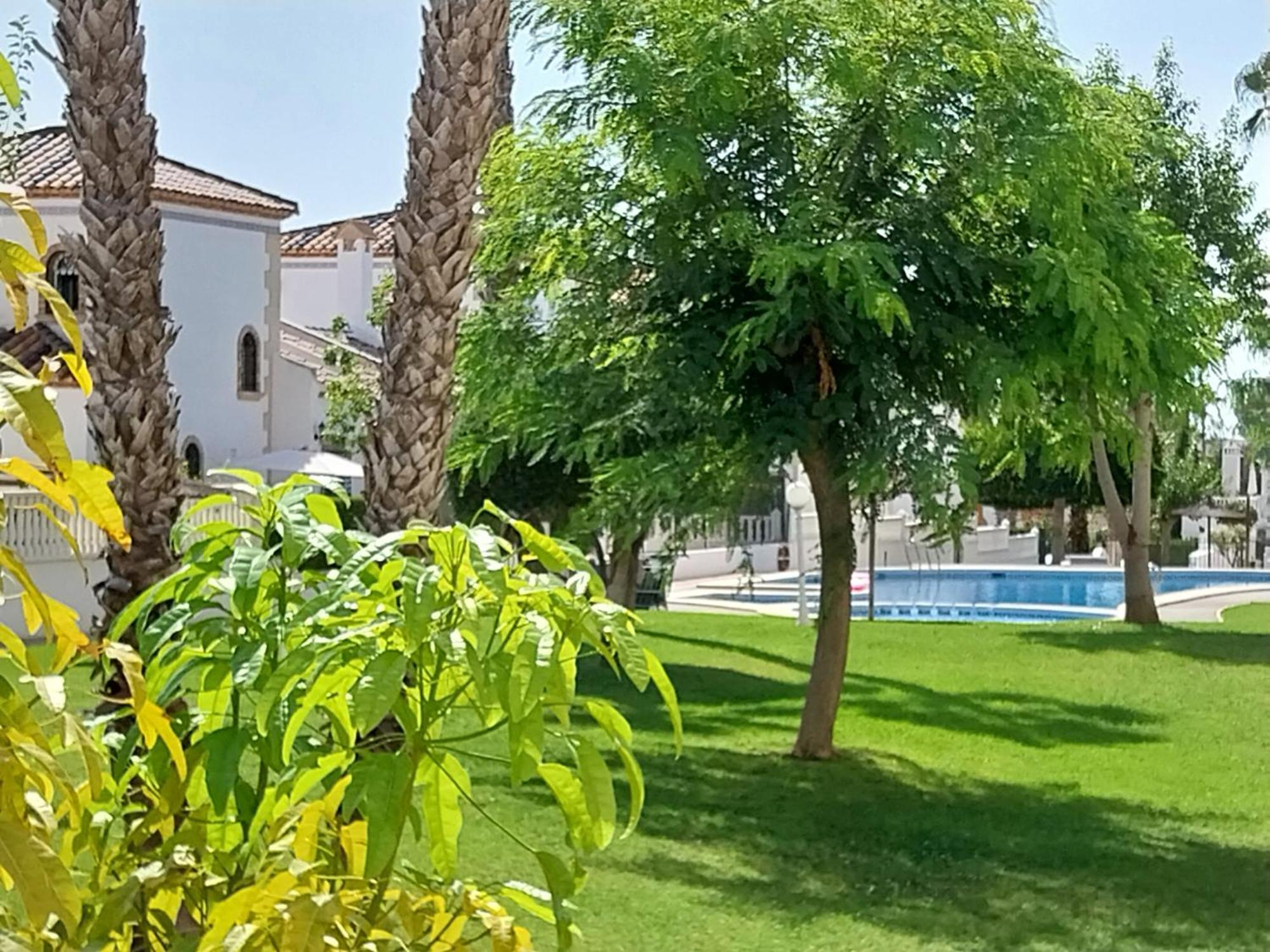 Charming Apartment In Front Of Villamartin Golf And Plaza Buitenkant foto
